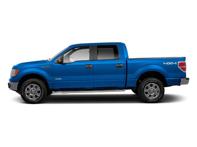 2010 Ford F-150 Vehicle Photo in Panama City, FL 32401