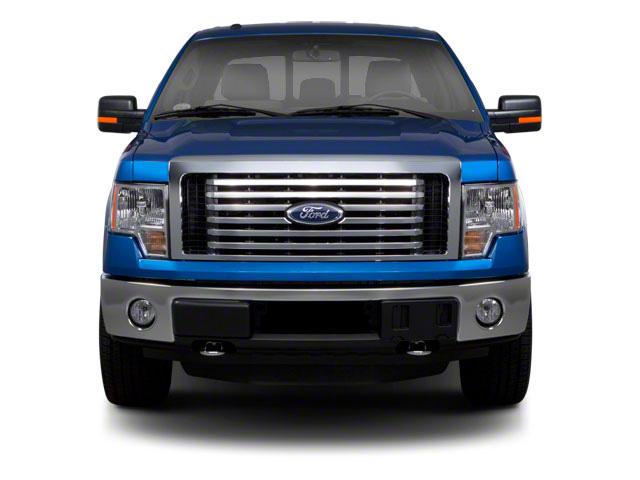 2010 Ford F-150 Vehicle Photo in Panama City, FL 32401