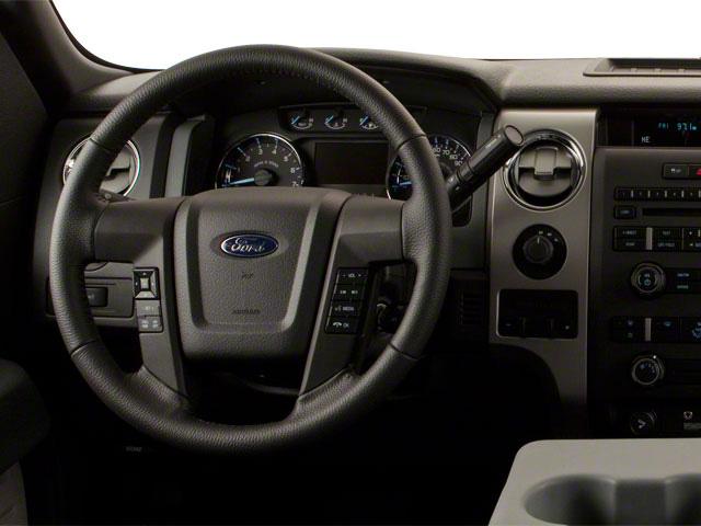 2010 Ford F-150 Vehicle Photo in Panama City, FL 32401