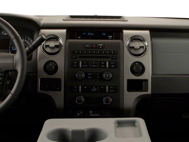 2010 Ford F-150 Vehicle Photo in Panama City, FL 32401