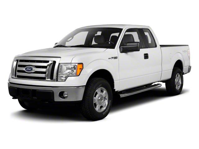 2010 Ford F-150 Vehicle Photo in St. Petersburg, FL 33713