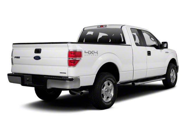 2010 Ford F-150 Vehicle Photo in St. Petersburg, FL 33713