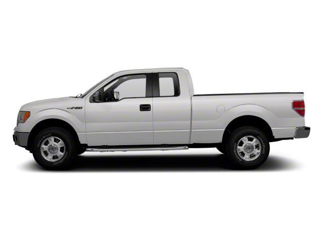 2010 Ford F-150 Vehicle Photo in St. Petersburg, FL 33713