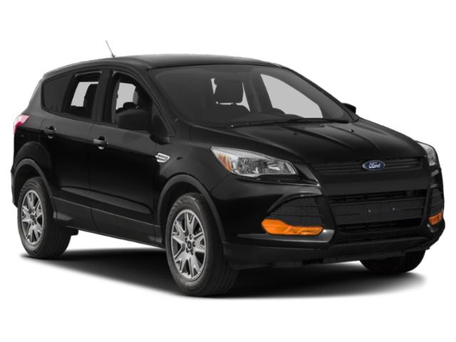 2013 Ford Escape Vehicle Photo in MEDINA, OH 44256-9631