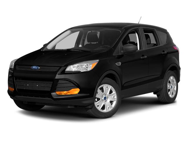 2013 Ford Escape Vehicle Photo in MEDINA, OH 44256-9631