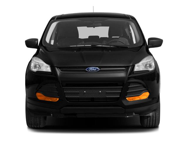 2013 Ford Escape Vehicle Photo in MEDINA, OH 44256-9631