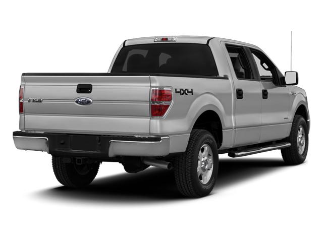 2013 Ford F-150 Vehicle Photo in Jacksonville, FL 32244