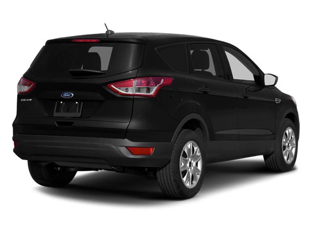 2014 Ford Escape Vehicle Photo in Jacksonville, FL 32256