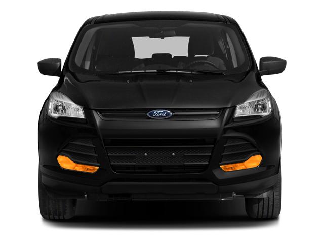 2014 Ford Escape Vehicle Photo in ORLANDO, FL 32812-3021