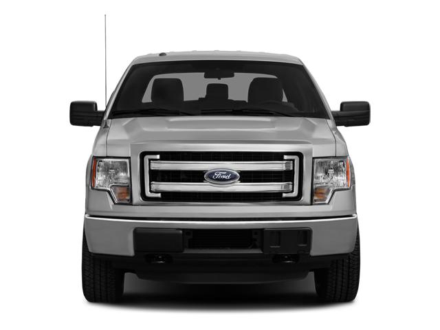 2014 Ford F-150 Vehicle Photo in CORPUS CHRISTI, TX 78412-4902