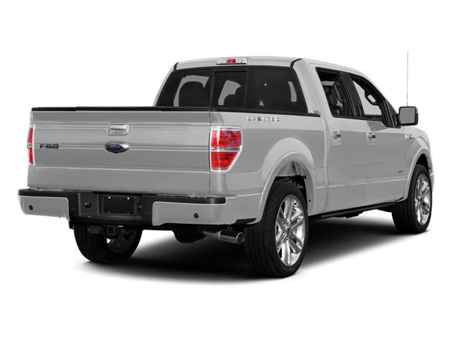 2014 Ford F-150 Vehicle Photo in Jacksonville, FL 32244