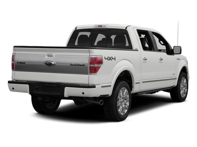 2014 Ford F-150 Vehicle Photo in DENTON, TX 76210-9321