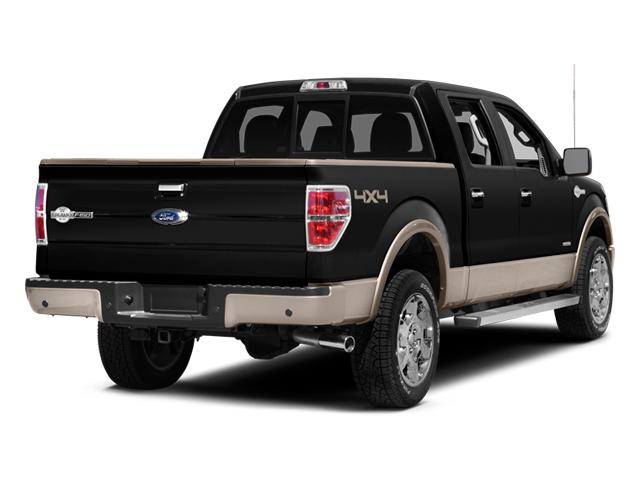 2014 Ford F-150 Vehicle Photo in San Antonio, TX 78230