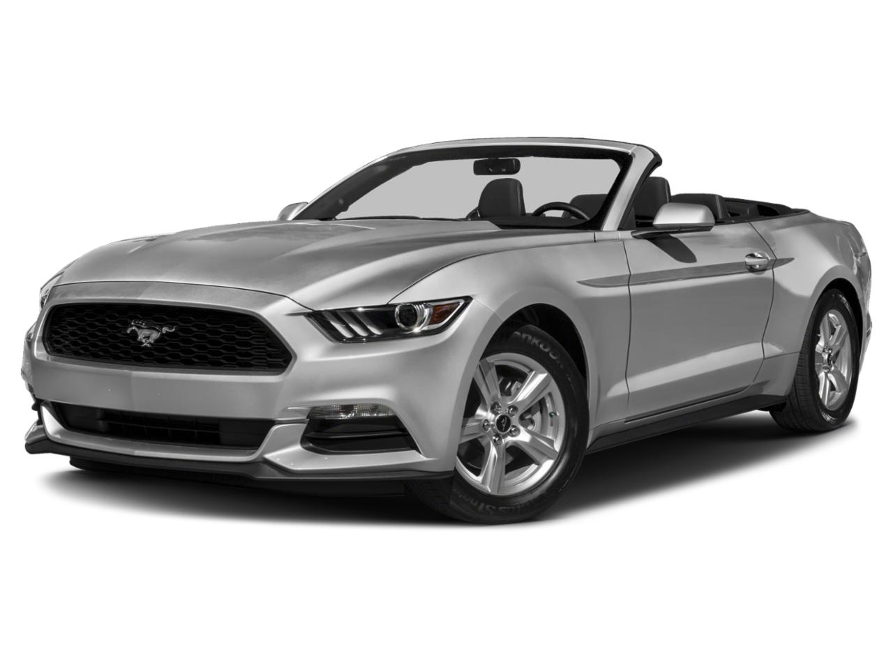 2015 Ford Mustang Vehicle Photo in Clearwater, FL 33764