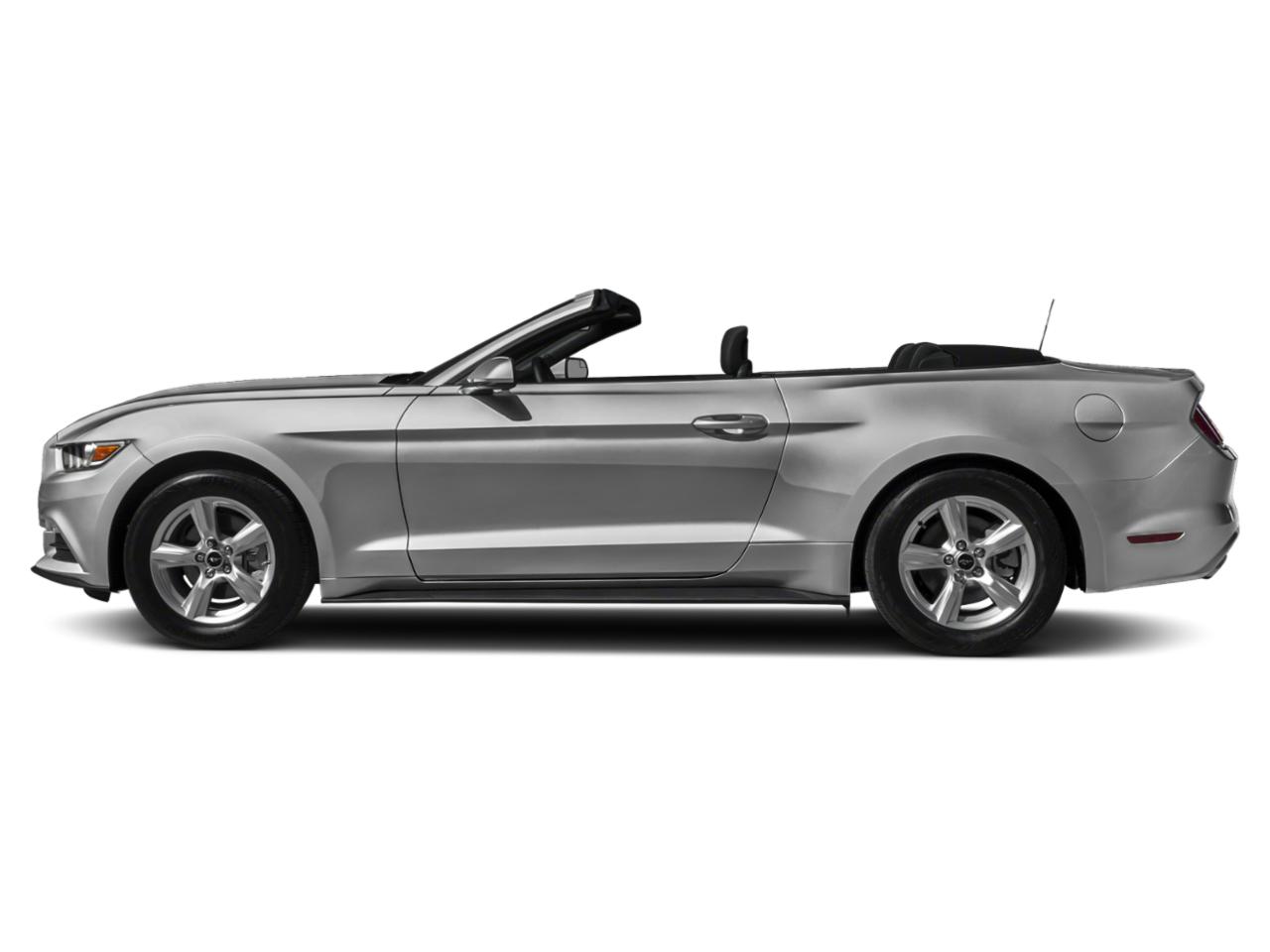 2015 Ford Mustang Vehicle Photo in Clearwater, FL 33764