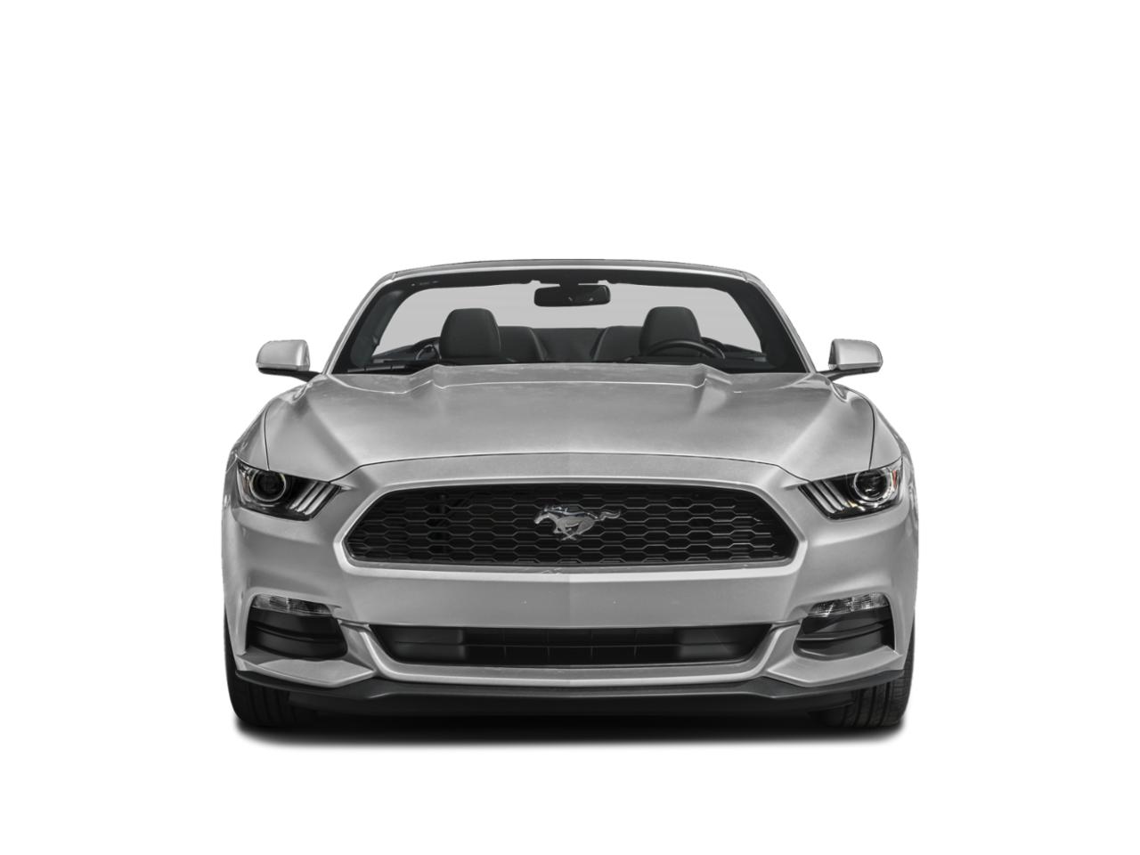 2015 Ford Mustang Vehicle Photo in Clearwater, FL 33764