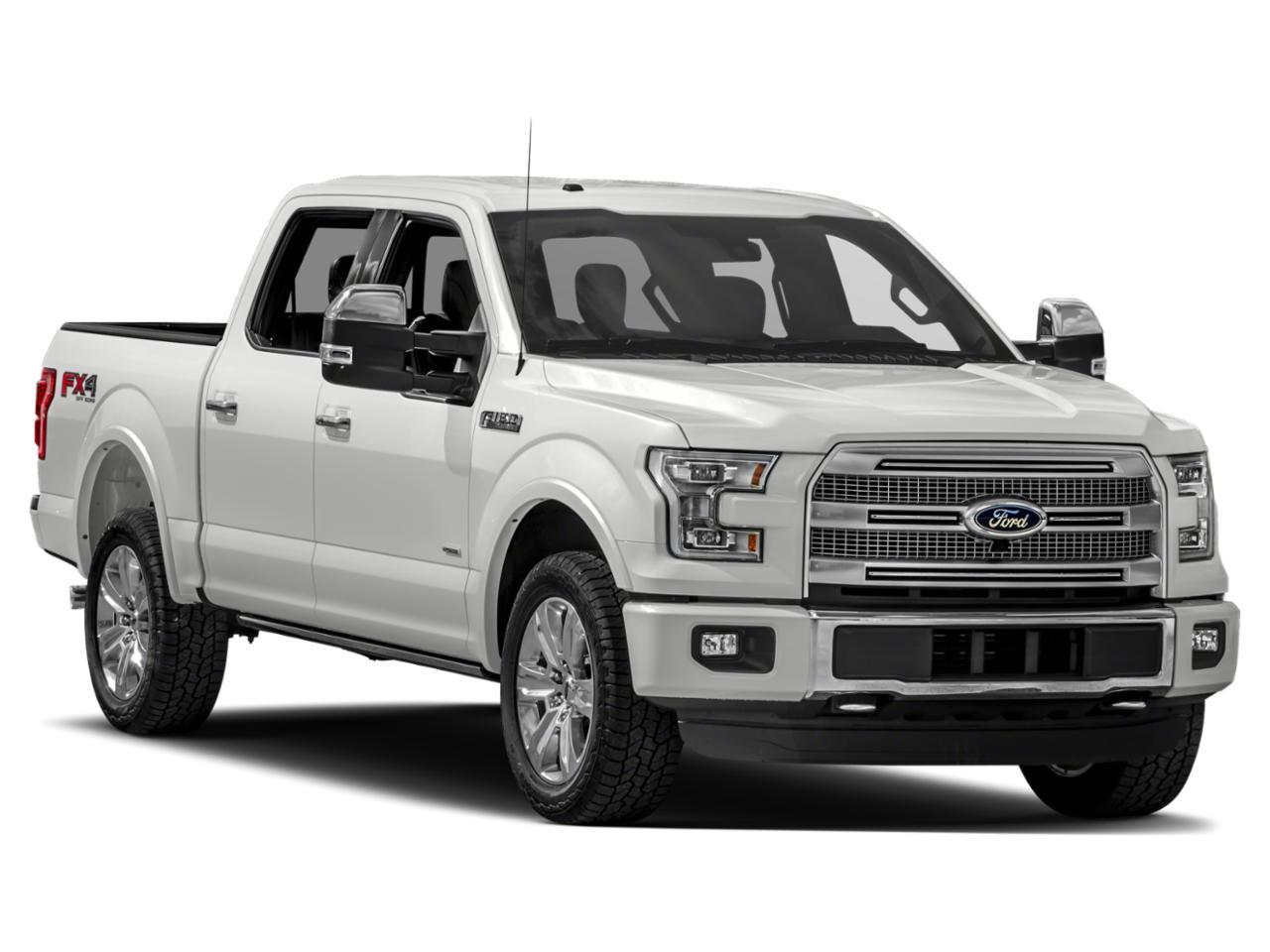 2015 Ford F-150 Vehicle Photo in Pinellas Park , FL 33781