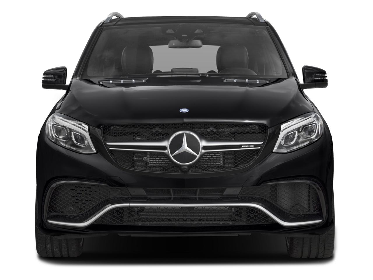 2016 Mercedes-Benz GLE Vehicle Photo in Wesley Chapel, FL 33544