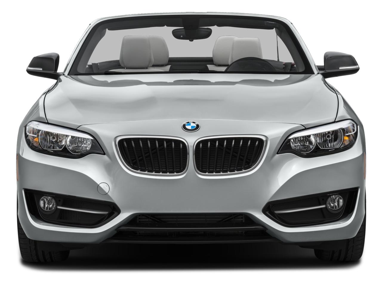 2017 BMW 230i Vehicle Photo in Pinellas Park , FL 33781