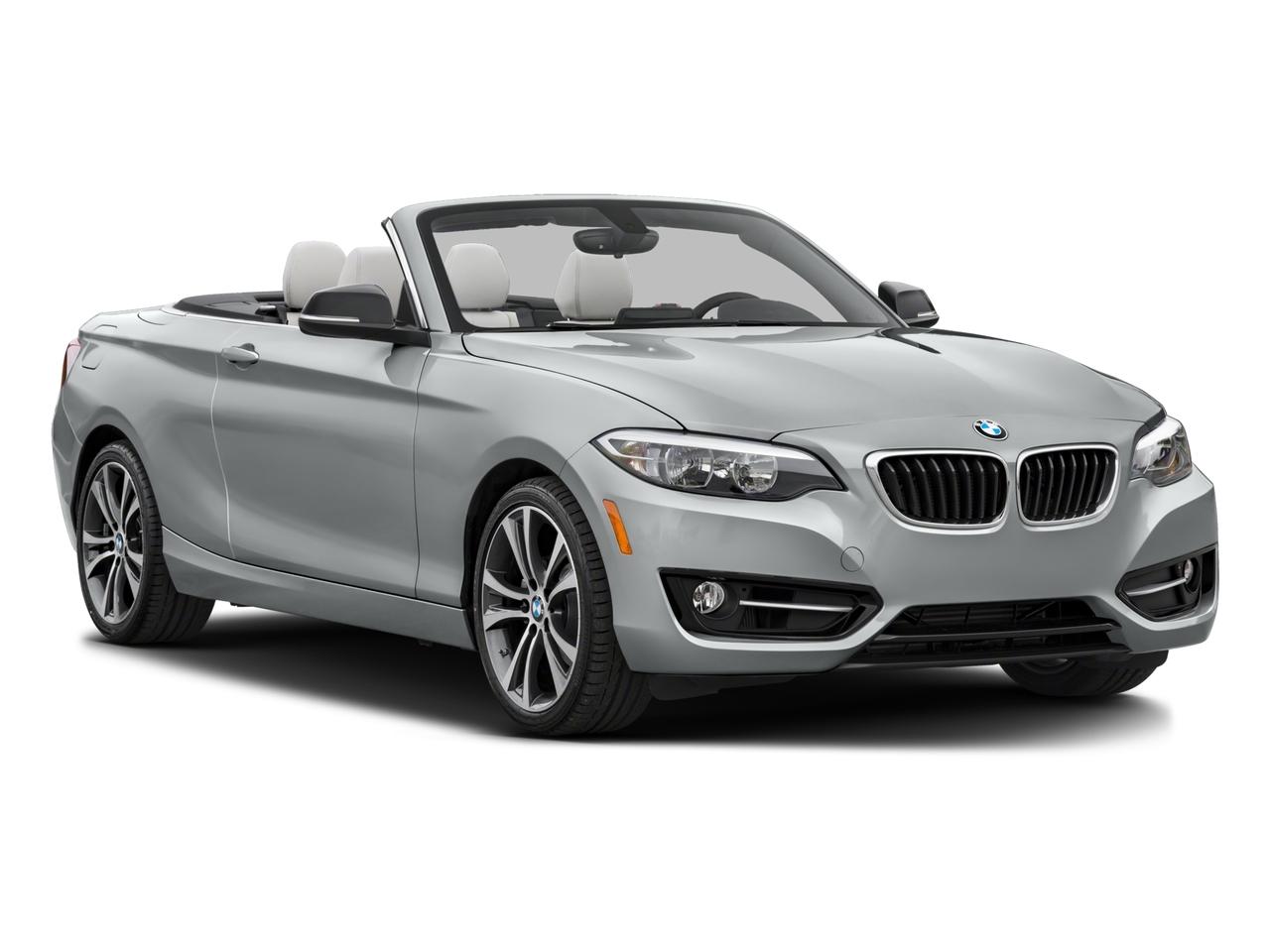 2017 BMW 230i Vehicle Photo in Pinellas Park , FL 33781