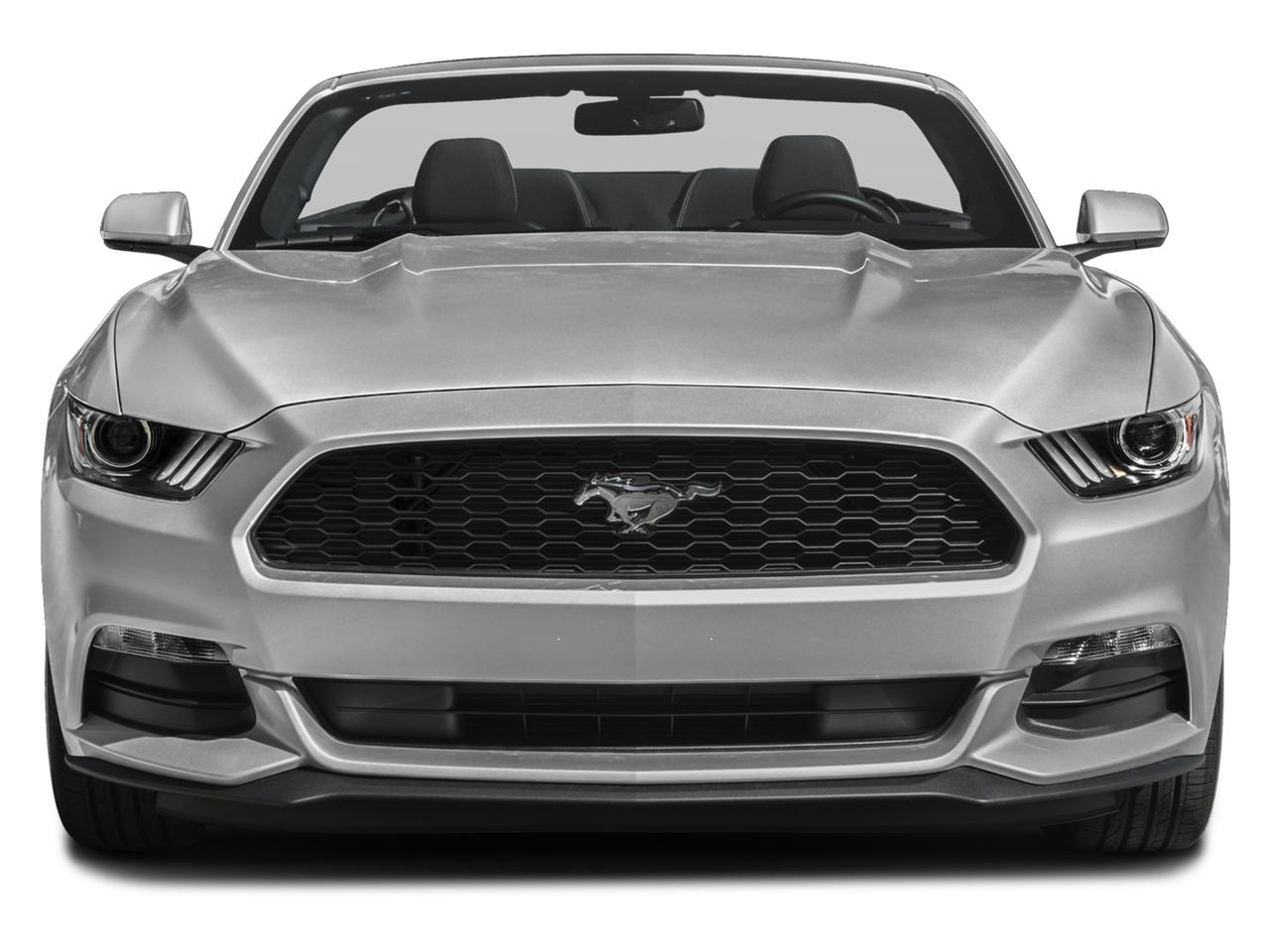 2017 Ford Mustang Vehicle Photo in Bradenton, FL 34207