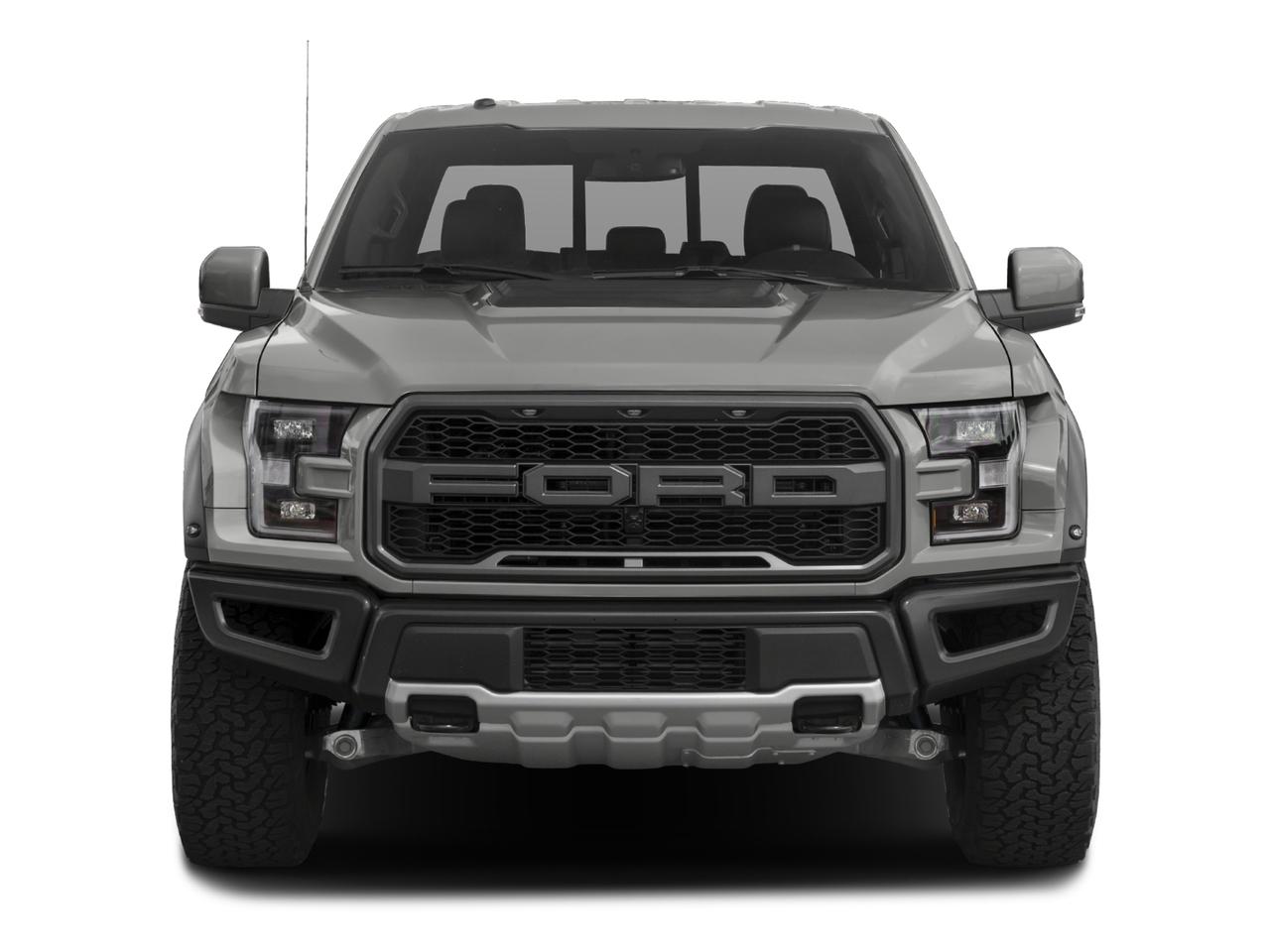 2017 Ford F-150 Vehicle Photo in Hinesville, GA 31313