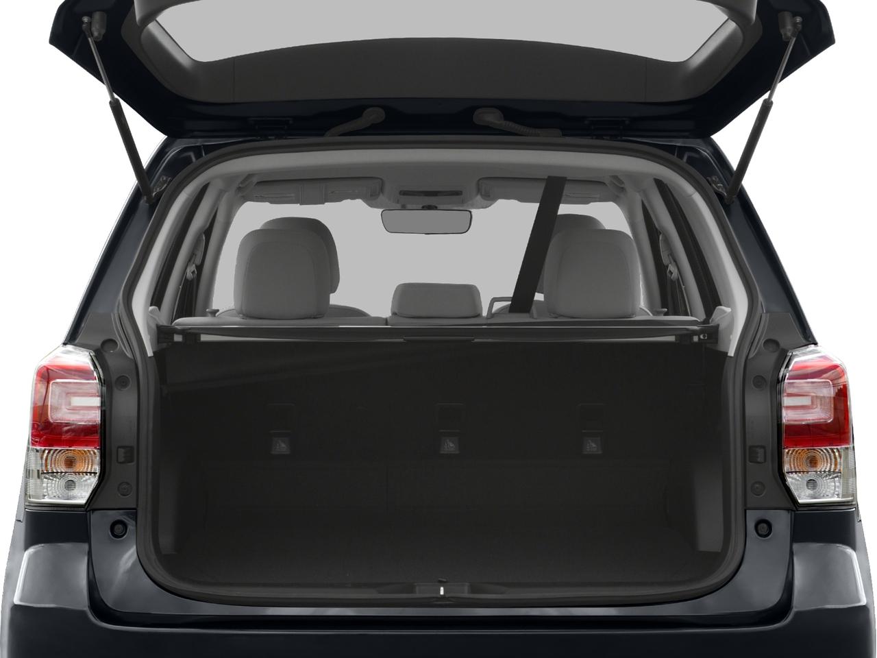 2017 Subaru Forester Vehicle Photo in Green Bay, WI 54304