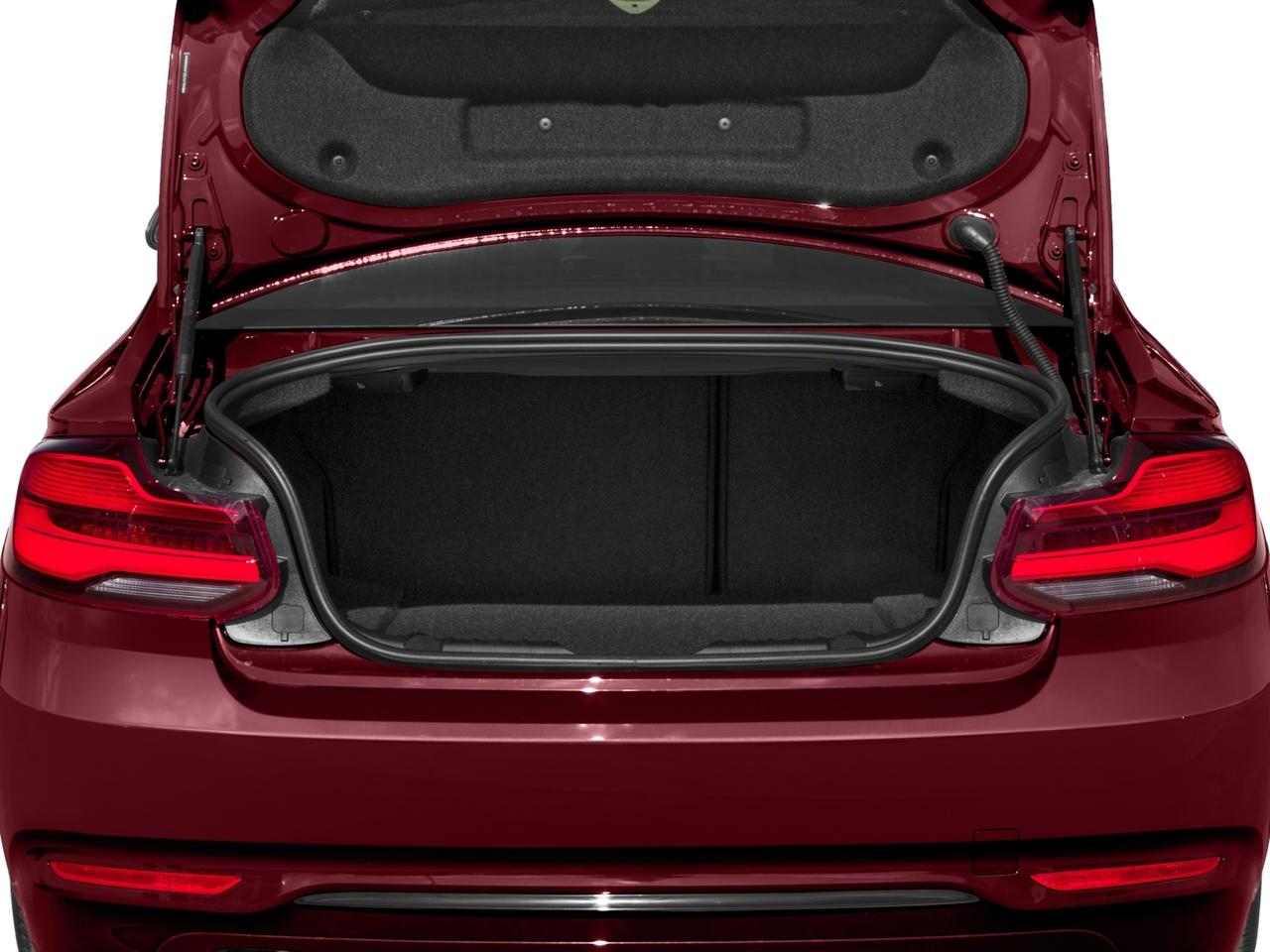 2018 BMW 230i Vehicle Photo in Wesley Chapel, FL 33544