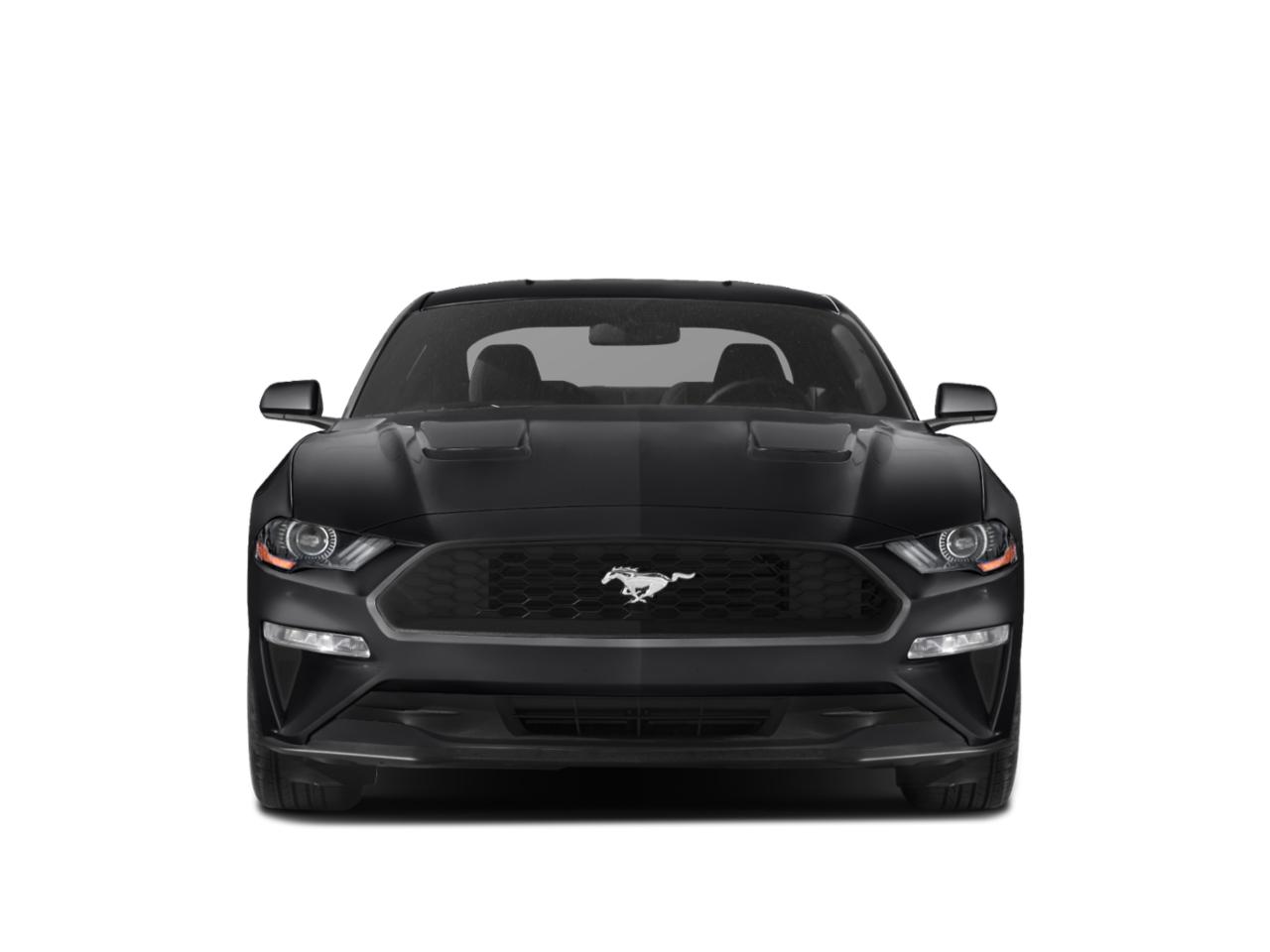 2018 Ford Mustang Vehicle Photo in Tampa, FL 33614