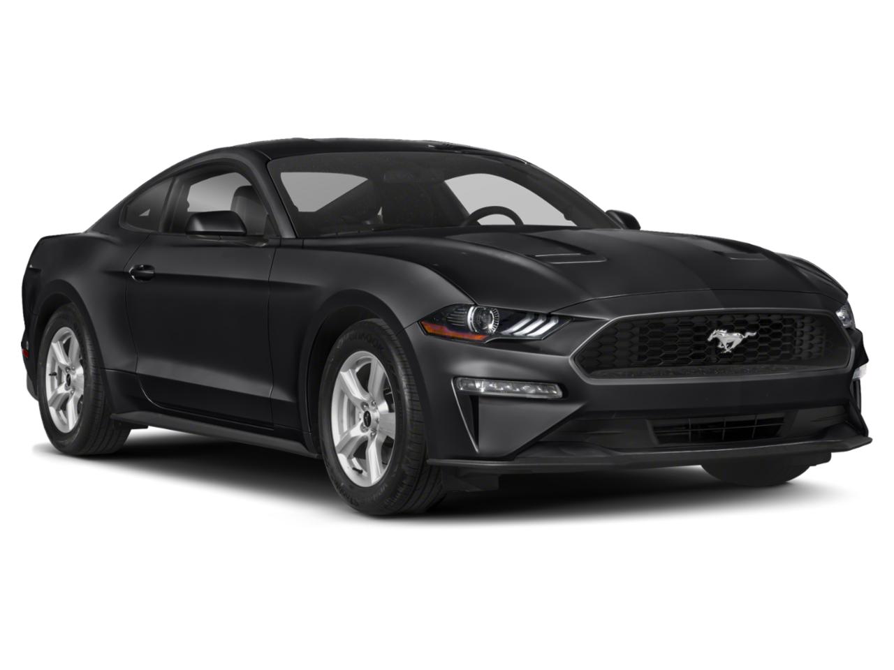 2018 Ford Mustang Vehicle Photo in Tampa, FL 33614