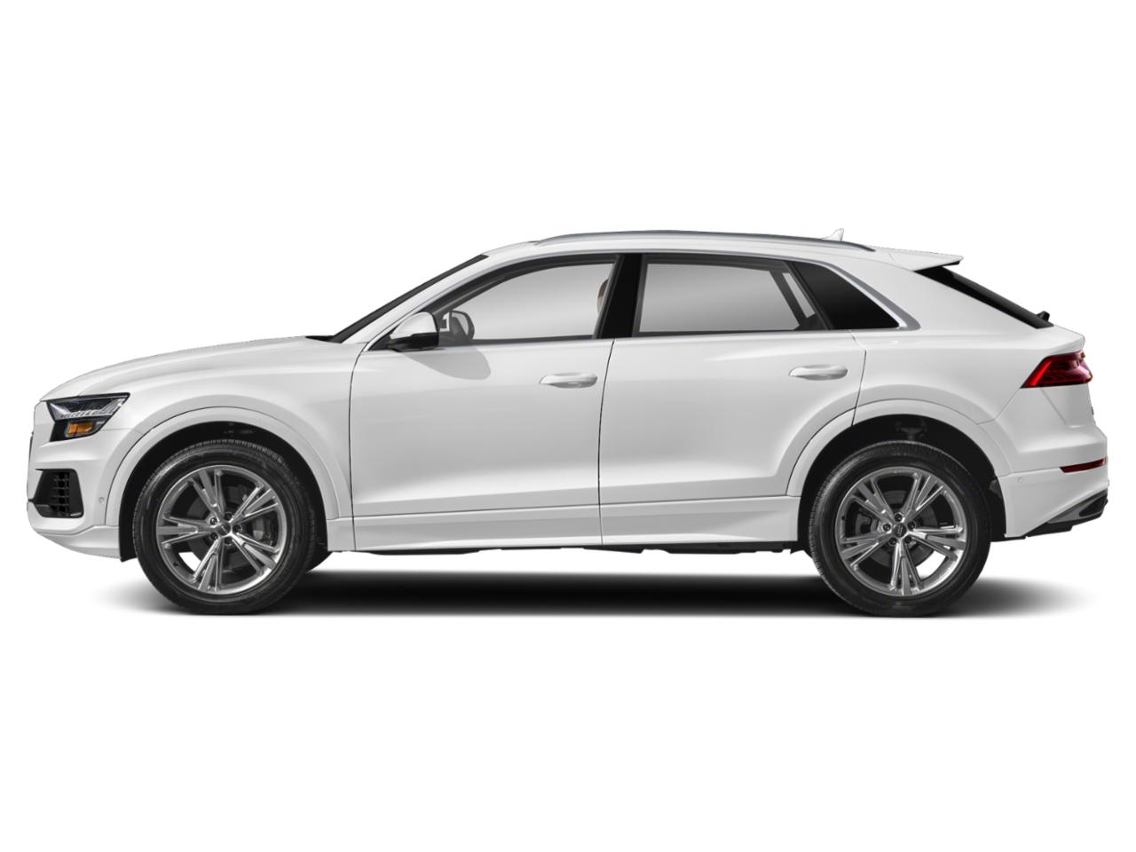 2019 Audi Q8 Vehicle Photo in Tampa, FL 33614