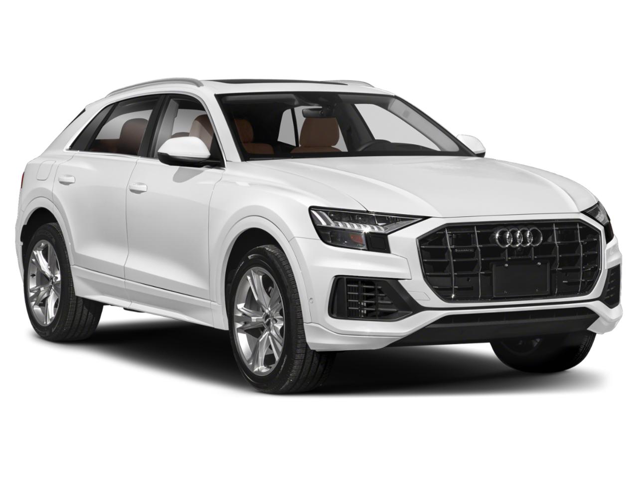 2019 Audi Q8 Vehicle Photo in Sarasota, FL 34231