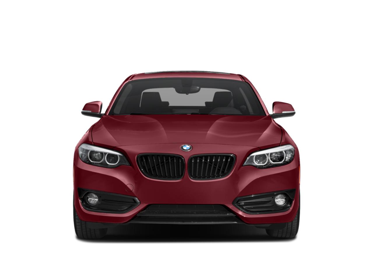 2019 BMW 230i Vehicle Photo in Panama City, FL 32401