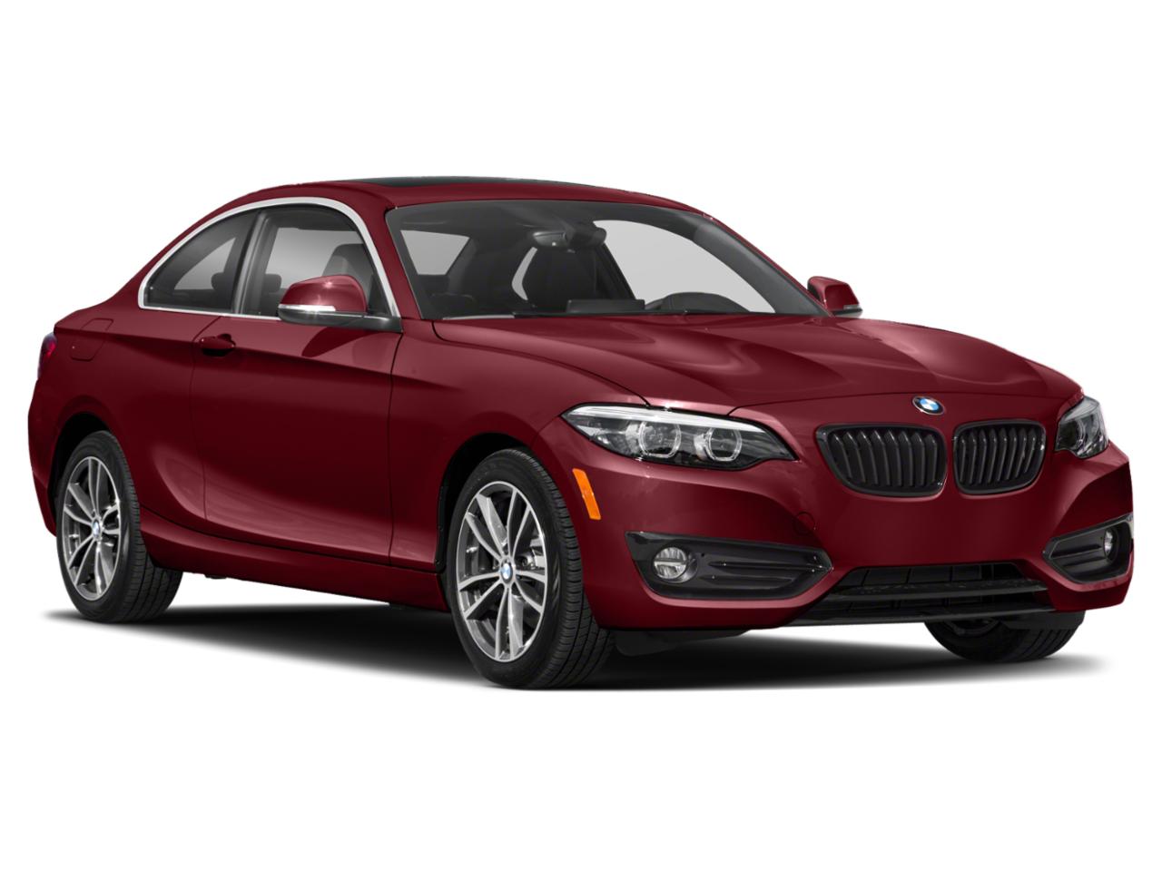 2019 BMW 230i Vehicle Photo in Panama City, FL 32401