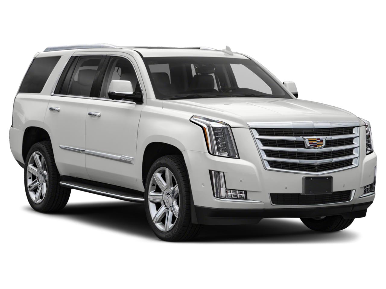 2019 Cadillac Escalade Vehicle Photo in Orlando, FL 32811