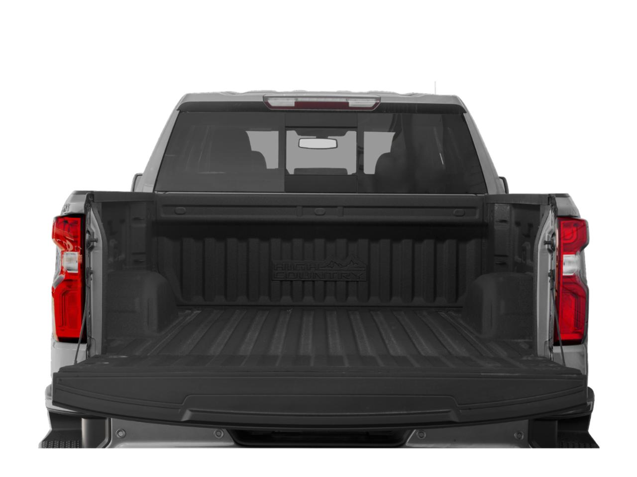 2019 Chevrolet Silverado 1500 Vehicle Photo in BRUNSWICK, GA 31525-1881