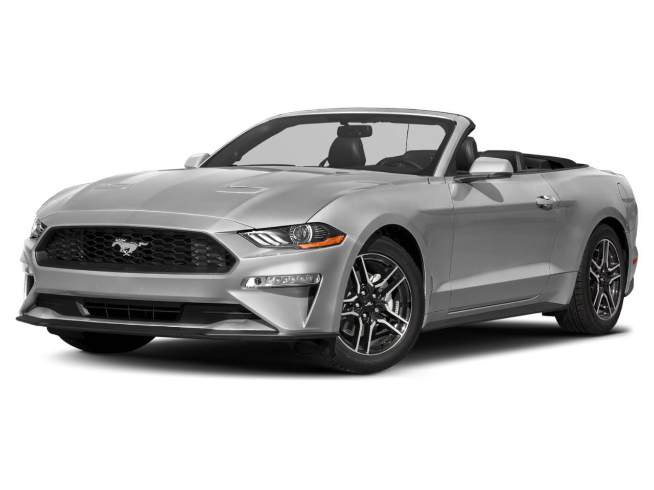 2019 Ford Mustang Vehicle Photo in MIAMI, FL 33172-3015