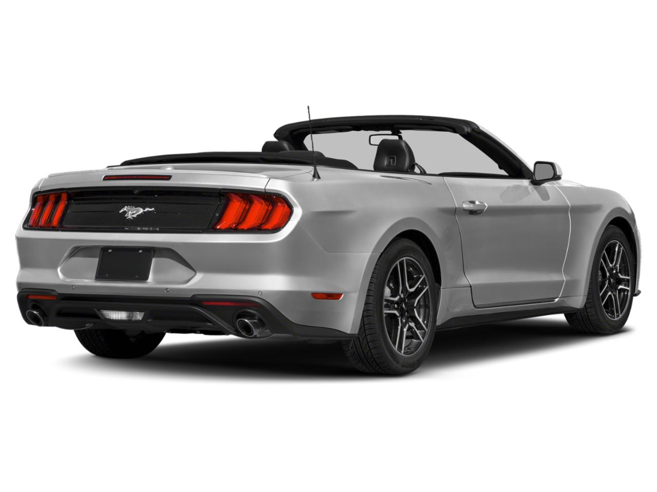 2019 Ford Mustang Vehicle Photo in MIAMI, FL 33172-3015