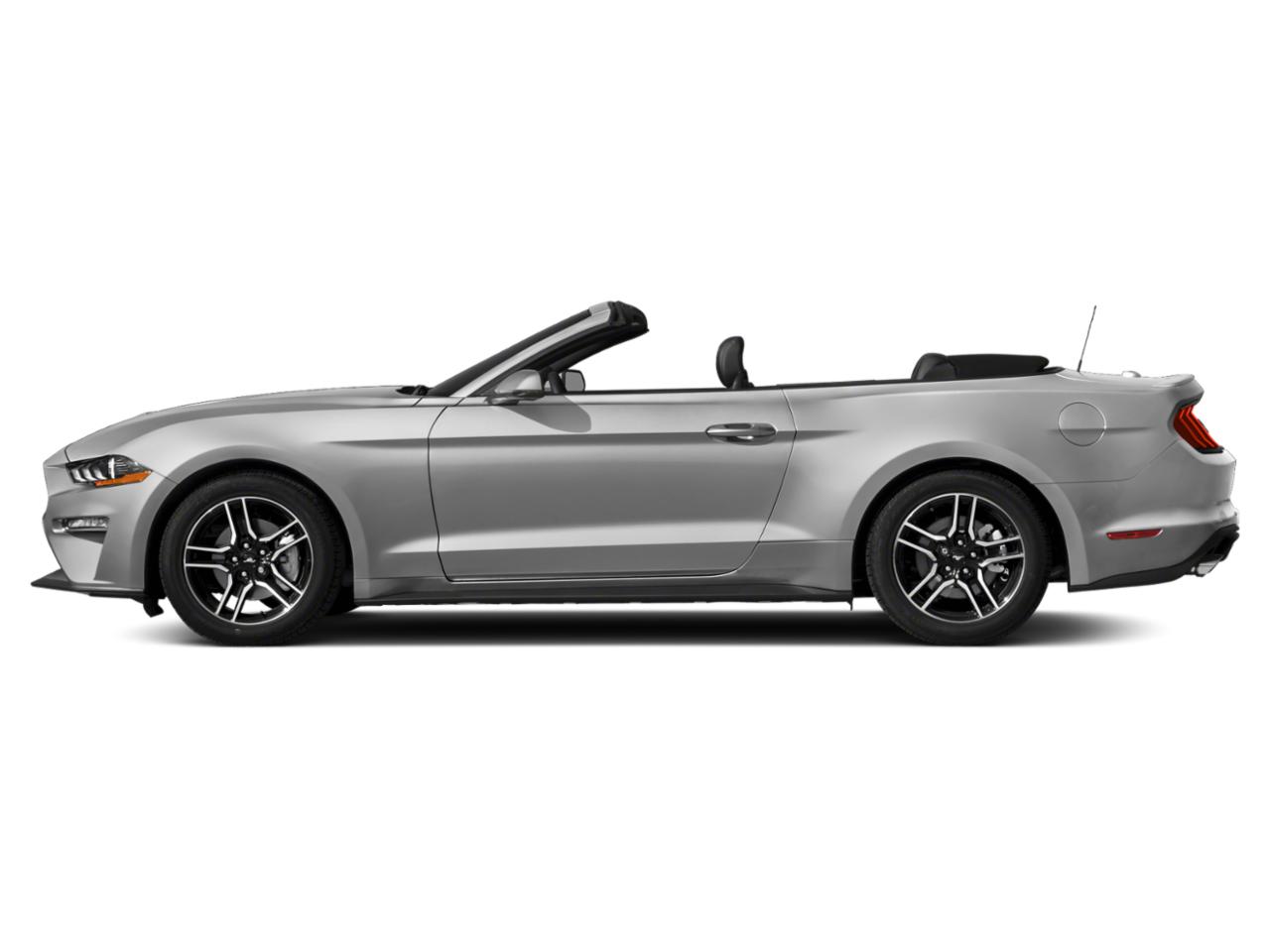 2019 Ford Mustang Vehicle Photo in MIAMI, FL 33172-3015