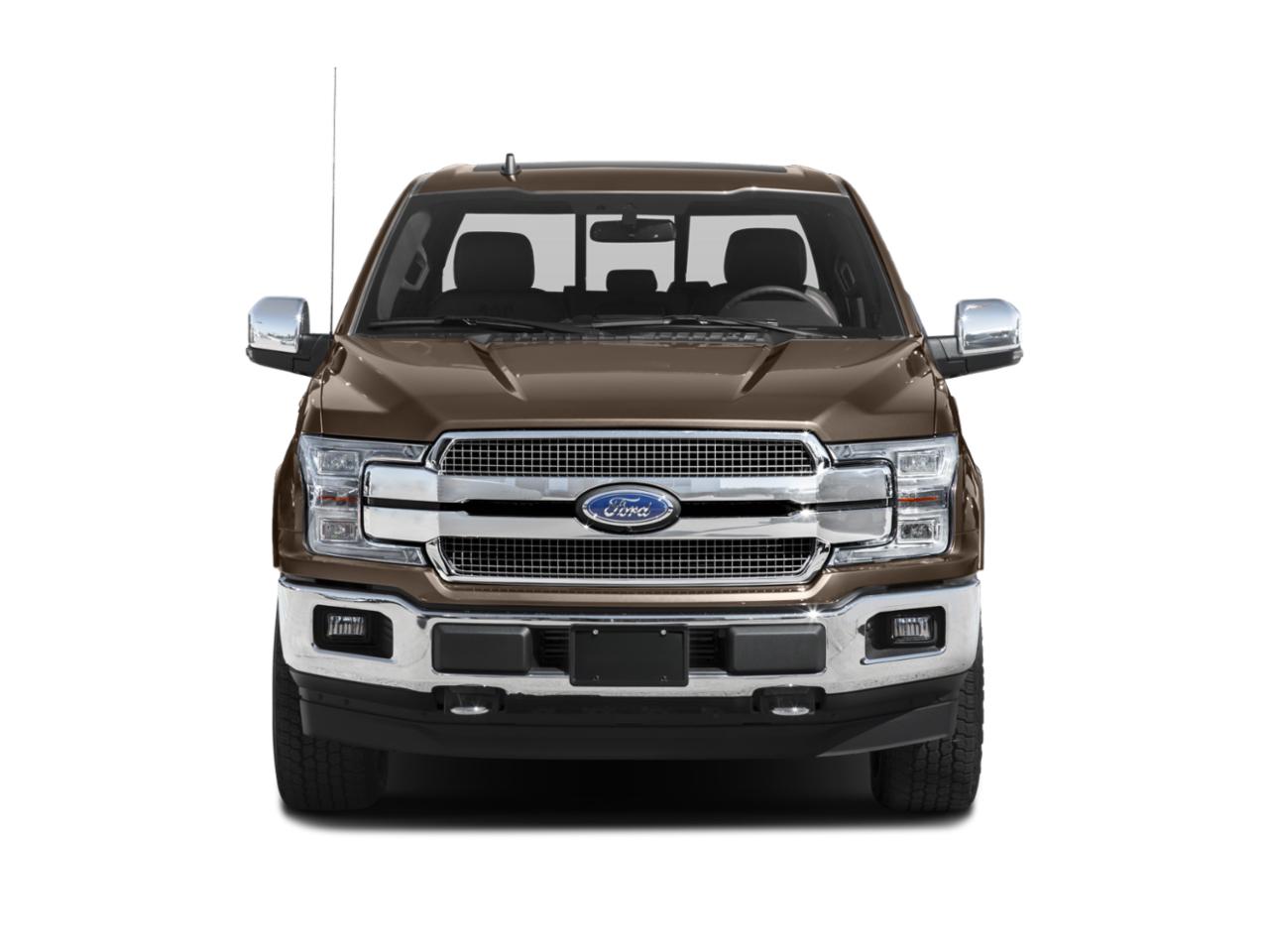 2019 Ford F-150 Vehicle Photo in SELMA, TX 78154-1459