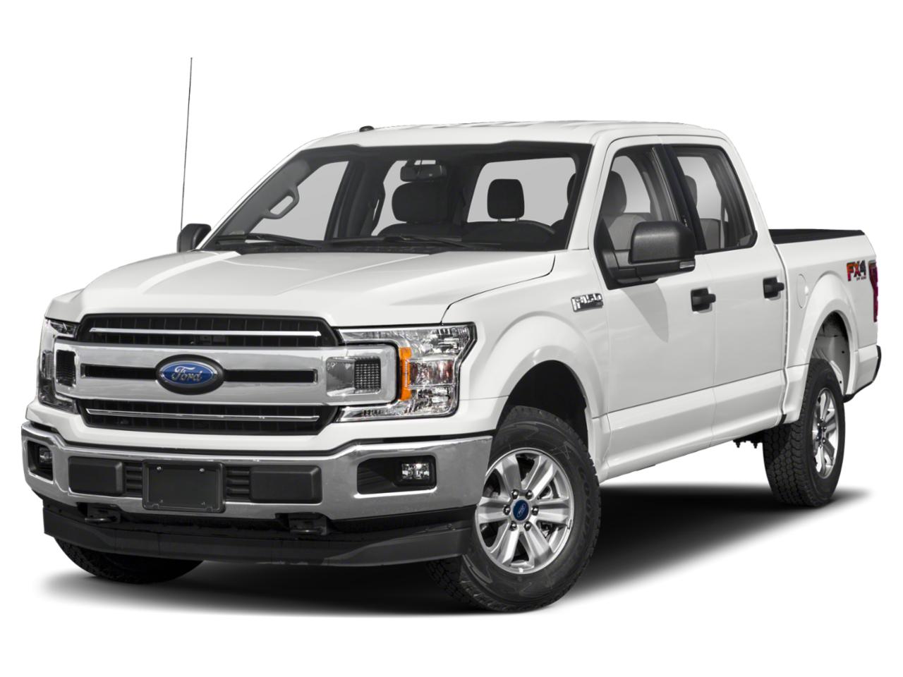 2019 Ford F-150 Vehicle Photo in Panama City, FL 32401