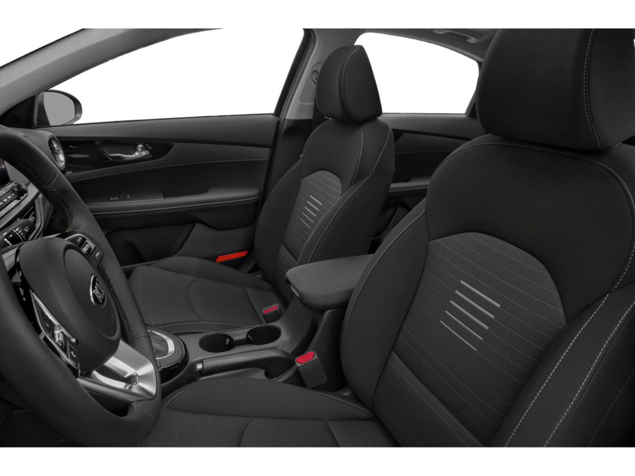 2019 Kia Forte Vehicle Photo in Peoria, IL 61615