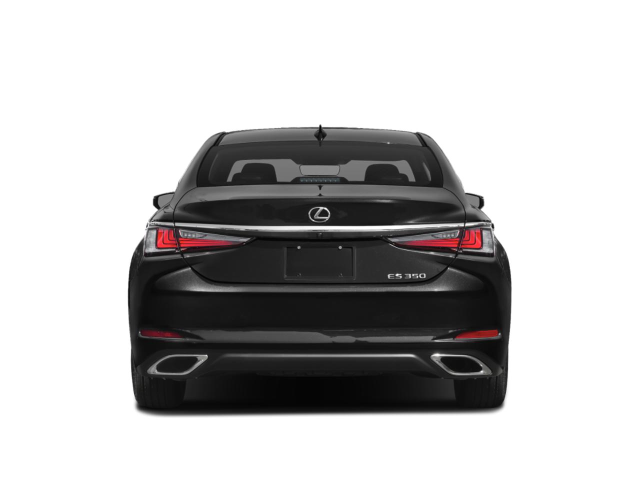 2019 Lexus ES 350 Vehicle Photo in Sarasota, FL 34231