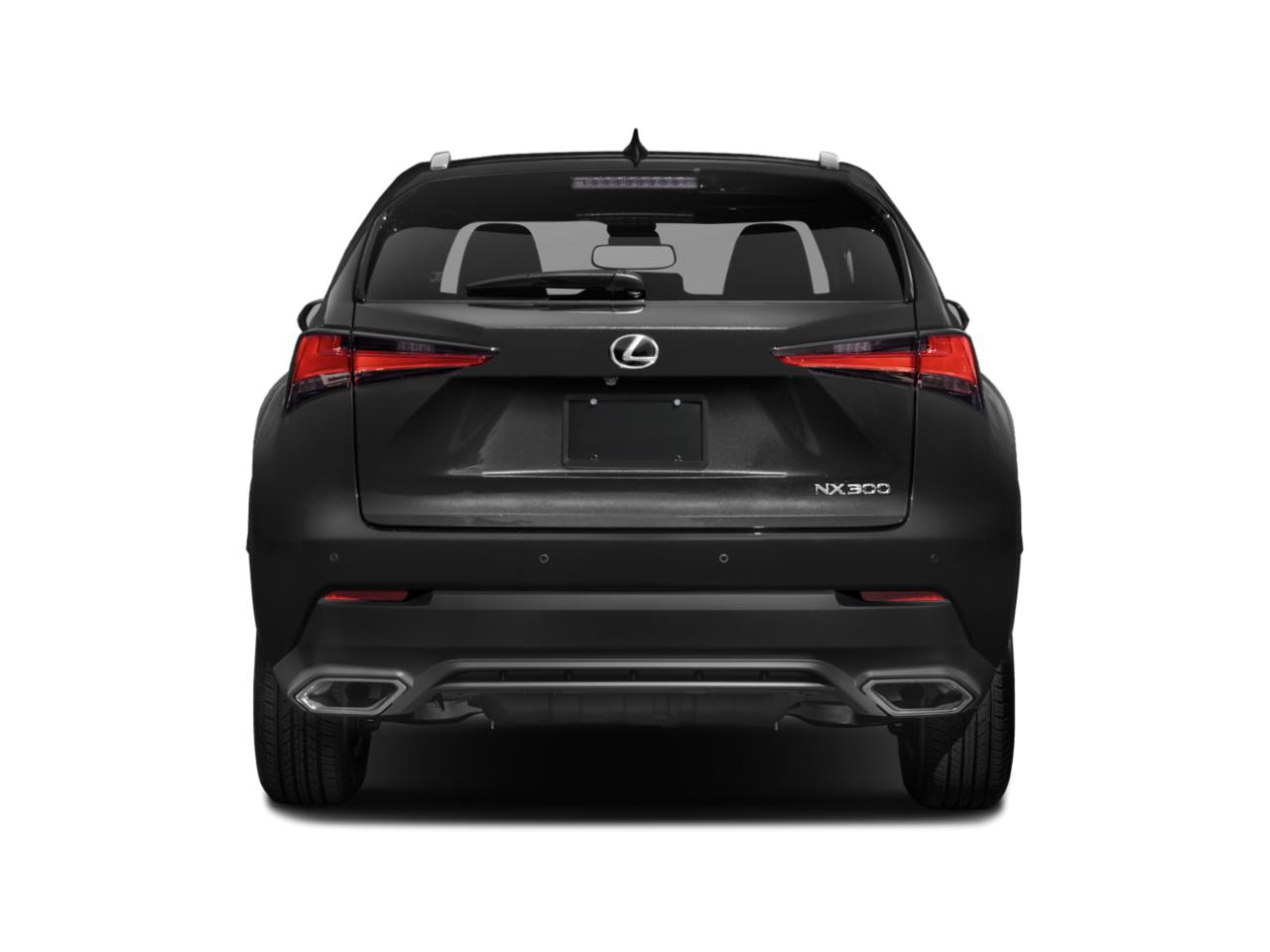 2019 Lexus NX 300 Vehicle Photo in Houston, TX 77007