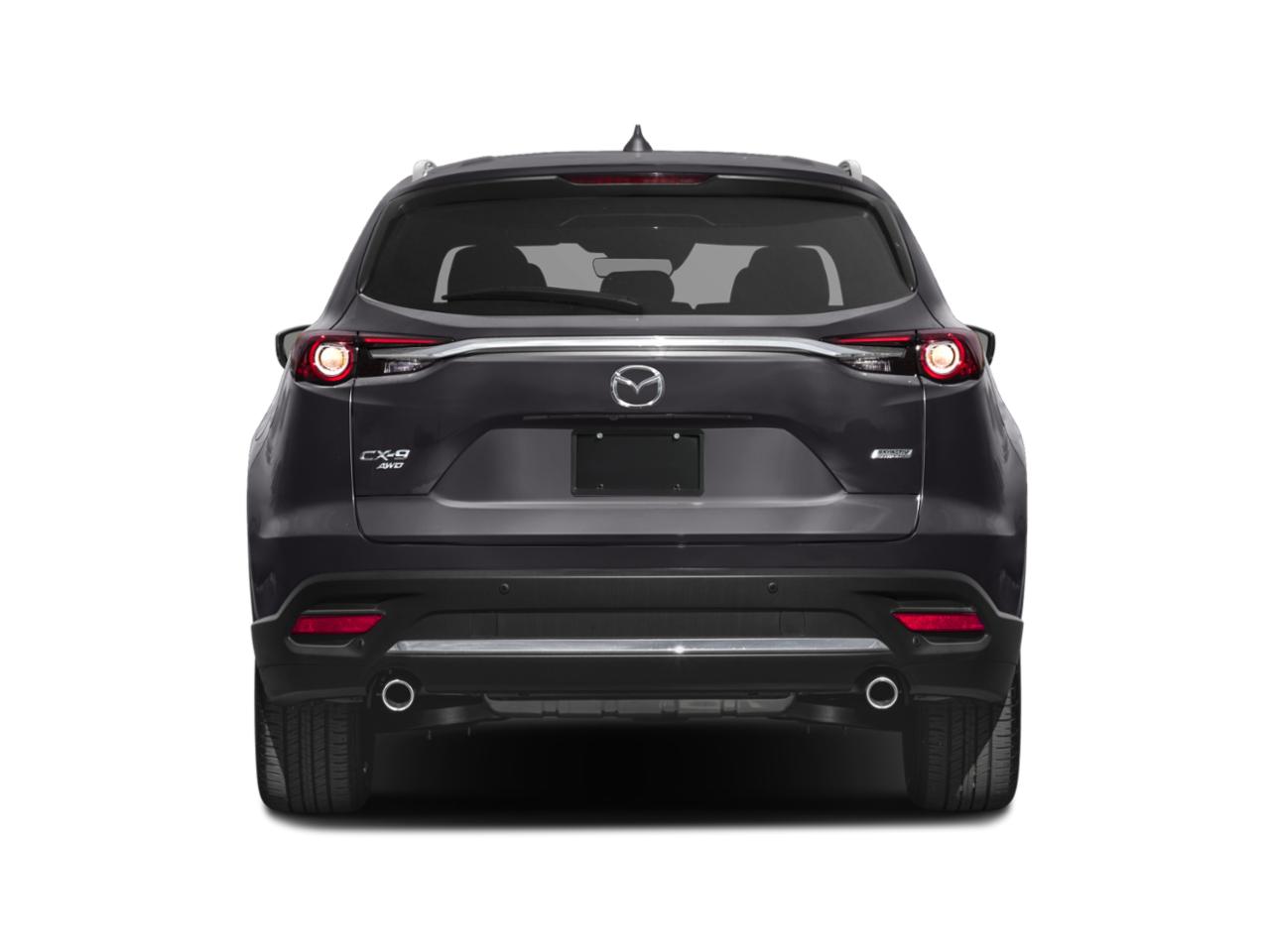 2019 Mazda CX-9 Vehicle Photo in Appleton, WI 54913