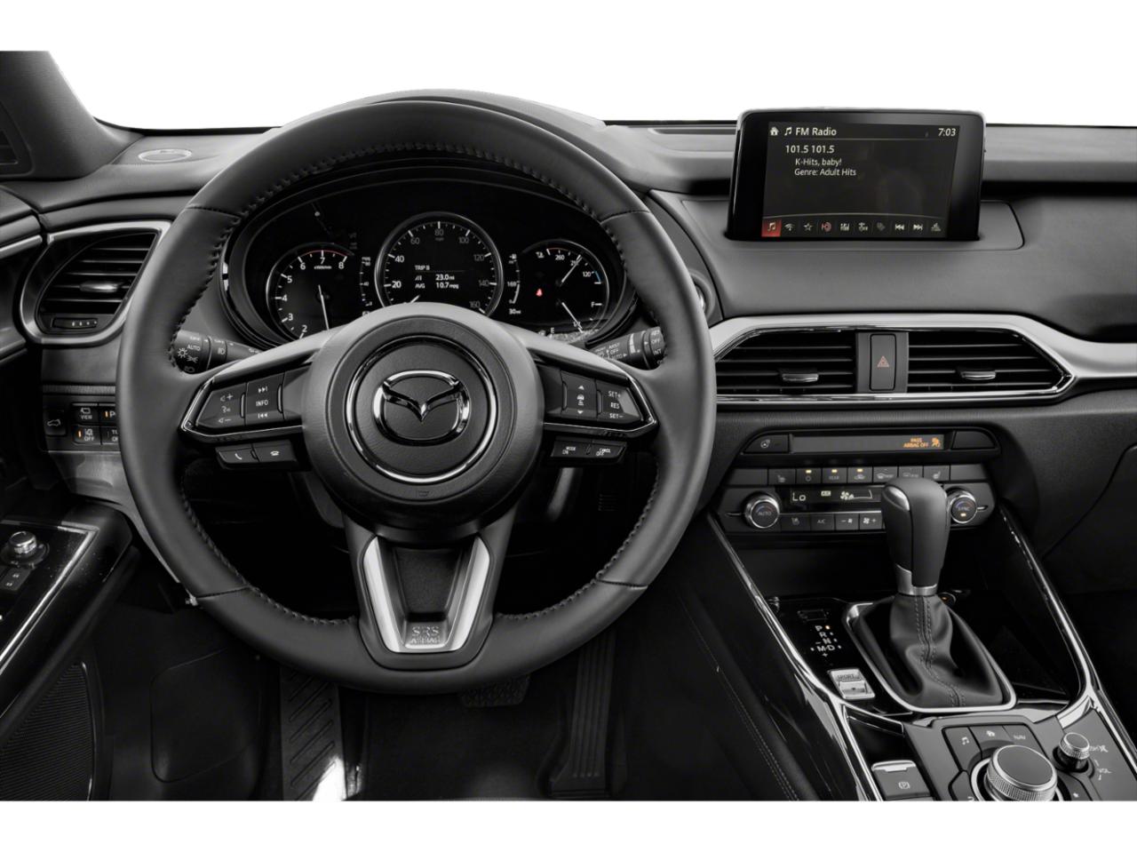 2019 Mazda CX-9 Vehicle Photo in Appleton, WI 54913