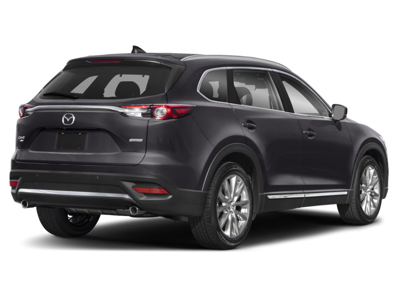 2019 Mazda CX-9 Vehicle Photo in Appleton, WI 54913