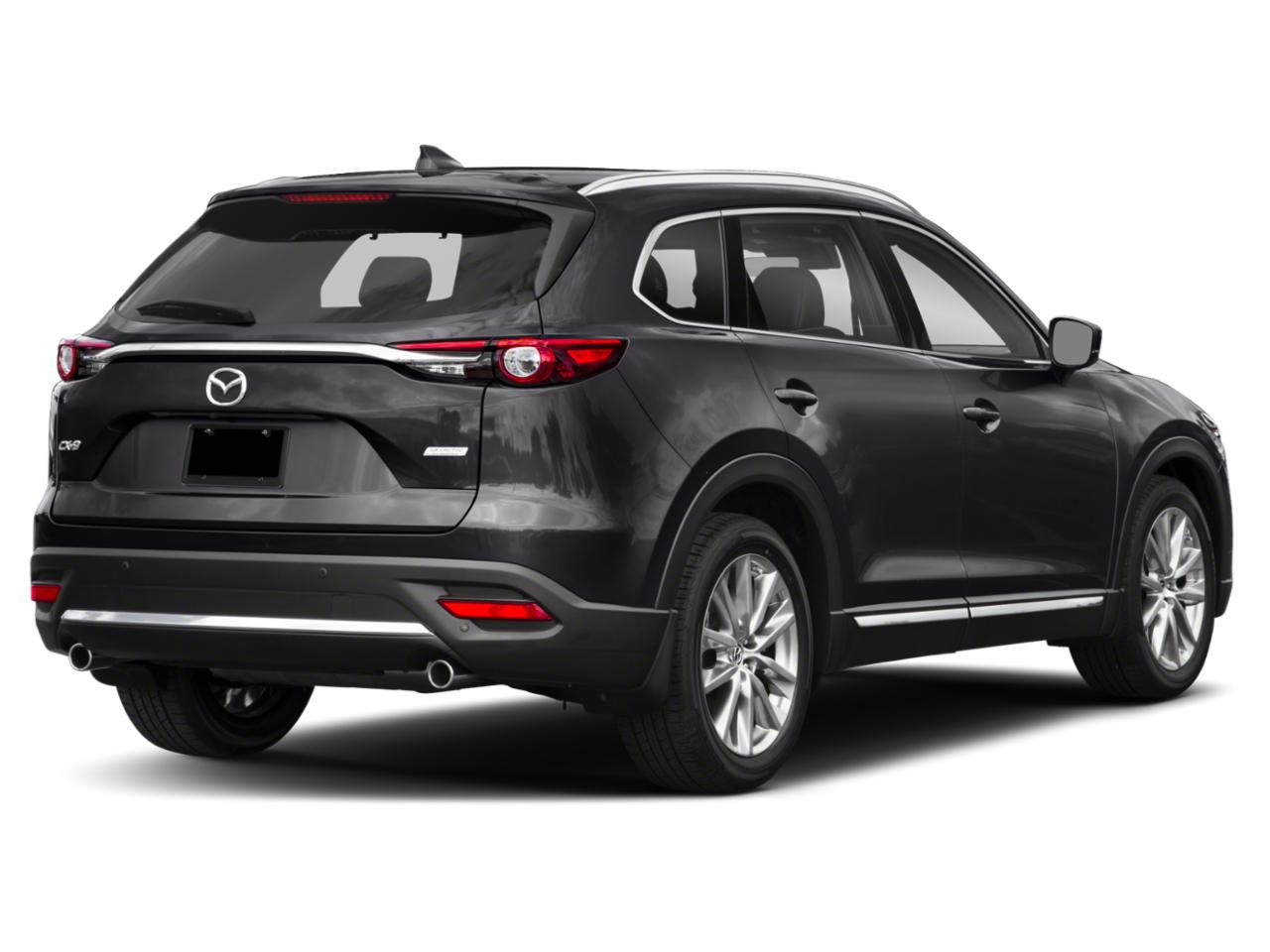 2019 Mazda CX-9 Vehicle Photo in Clearwater, FL 33765