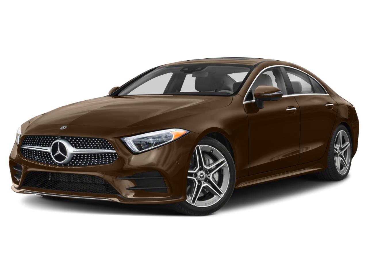 2019 Mercedes-Benz CLS Vehicle Photo in St. Petersburg, FL 33713