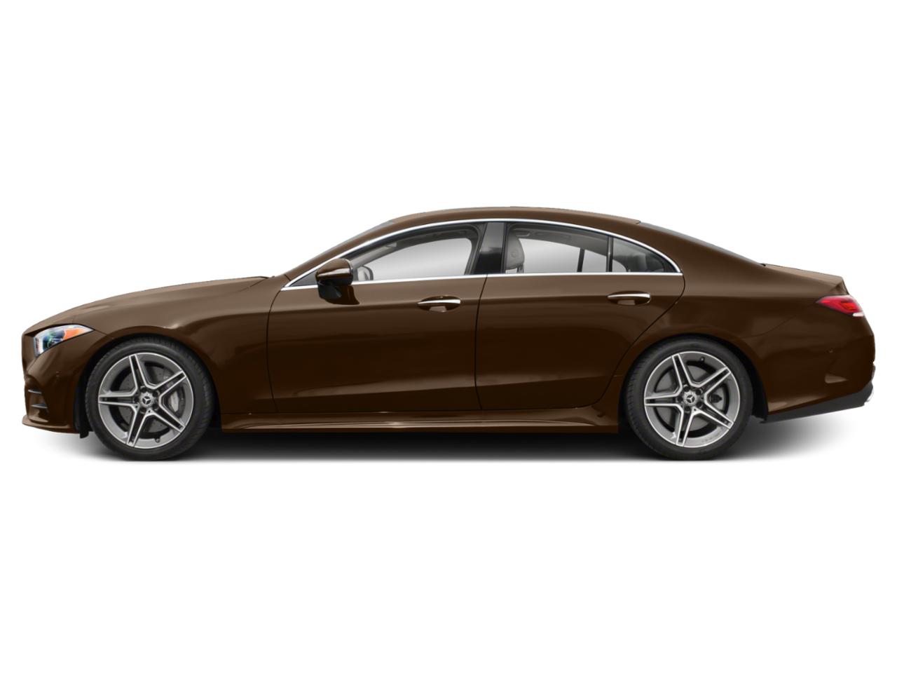 2019 Mercedes-Benz CLS Vehicle Photo in St. Petersburg, FL 33713